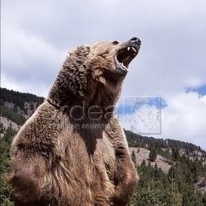 Meet your Posher, Harold